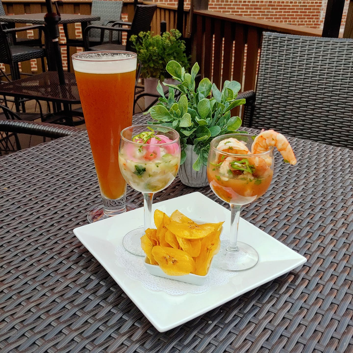 Ceviche